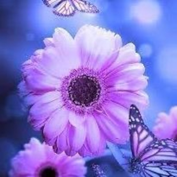 Meet your Posher, Noura - Picture 1 of 1